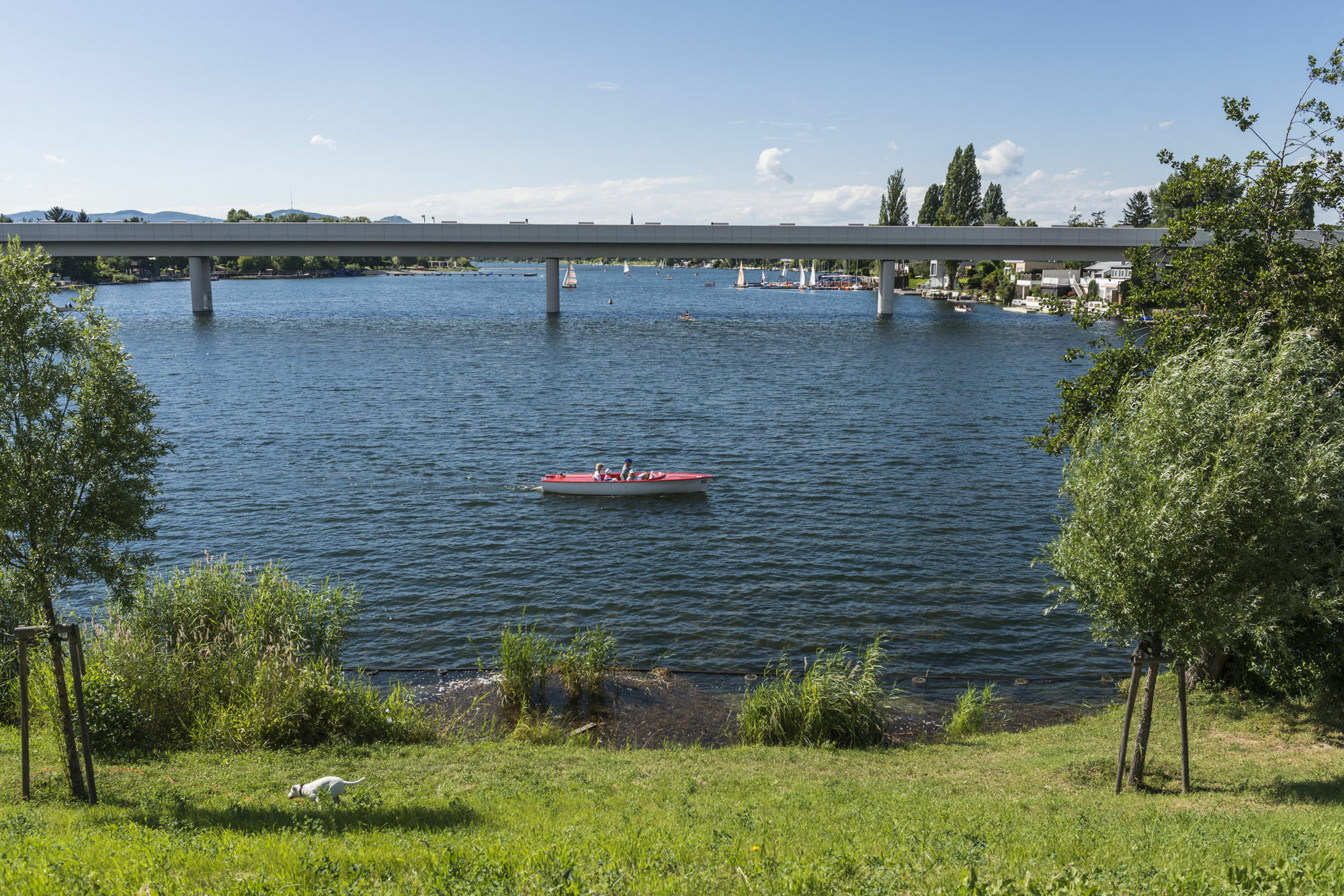 Ajo Apartments - Alte Donau Waterfront - Self-Check-In Viena Exterior foto